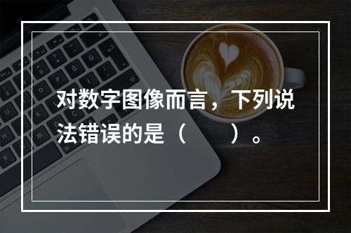 对数字图像而言，下列说法错误的是（　　）。