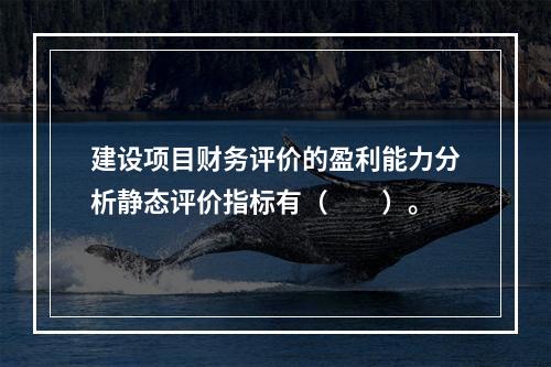 建设项目财务评价的盈利能力分析静态评价指标有（　　）。