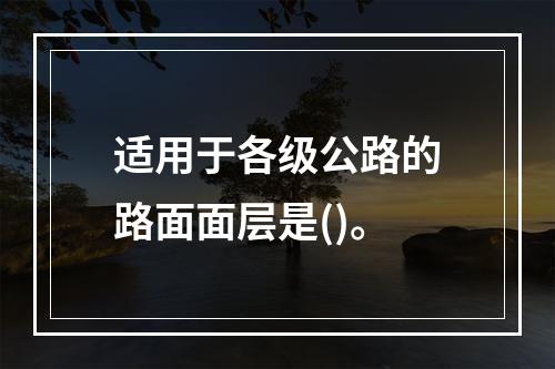 适用于各级公路的路面面层是()。