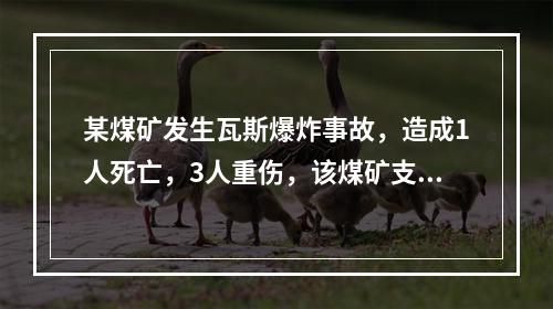 某煤矿发生瓦斯爆炸事故，造成1人死亡，3人重伤，该煤矿支付医