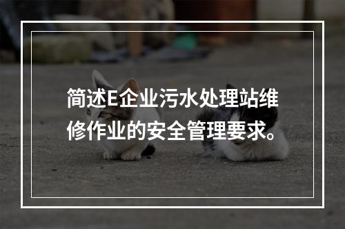 简述E企业污水处理站维修作业的安全管理要求。