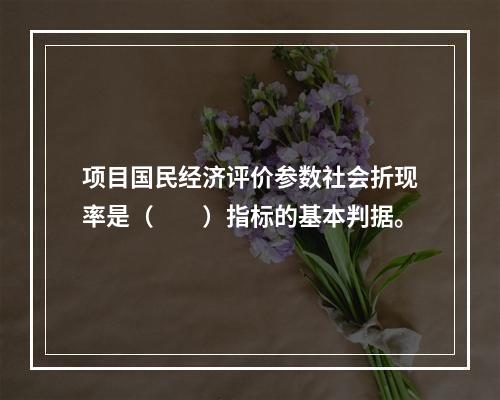 项目国民经济评价参数社会折现率是（　　）指标的基本判据。