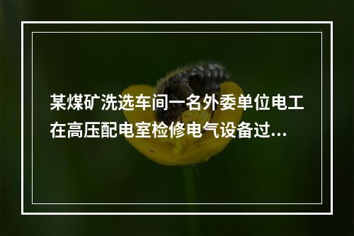 某煤矿洗选车间一名外委单位电工在高压配电室检修电气设备过程中