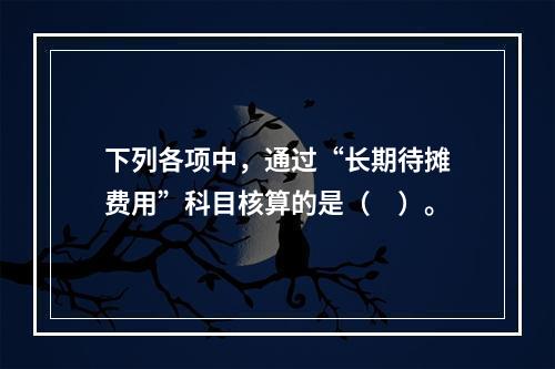 下列各项中，通过“长期待摊费用”科目核算的是（　）。