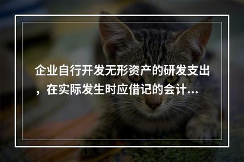 企业自行开发无形资产的研发支出，在实际发生时应借记的会计科目