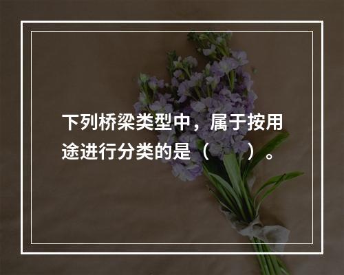 下列桥梁类型中，属于按用途进行分类的是（　　）。