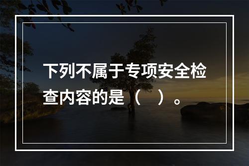 下列不属于专项安全检查内容的是（　）。