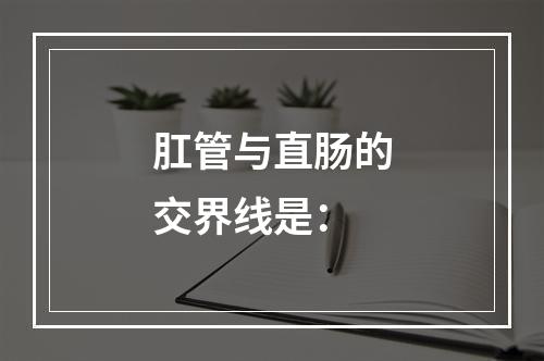 肛管与直肠的交界线是：