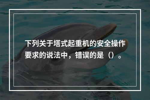 下列关于塔式起重机的安全操作要求的说法中，错误的是（）。