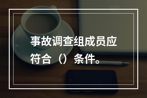 事故调查组成员应符合（）条件。