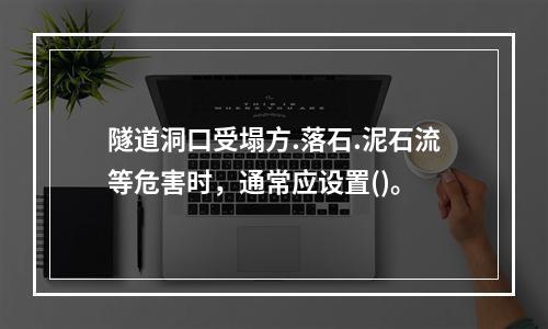 隧道洞口受塌方.落石.泥石流等危害时，通常应设置()。