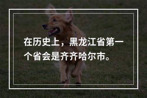 在历史上，黑龙江省第一个省会是齐齐哈尔市。