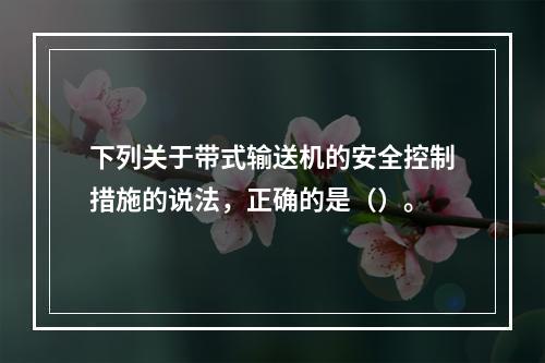 下列关于带式输送机的安全控制措施的说法，正确的是（）。