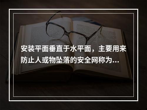 安装平面垂直于水平面，主要用来防止人或物坠落的安全网称为（）