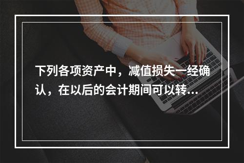 下列各项资产中，减值损失一经确认，在以后的会计期间可以转回的