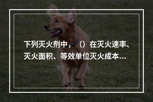 下列灭火剂中，（）在灭火速率、灭火面积、等效单位灭火成本效果