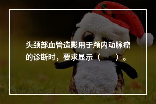 头颈部血管造影用于颅内动脉瘤的诊断时，要求显示（　　）。