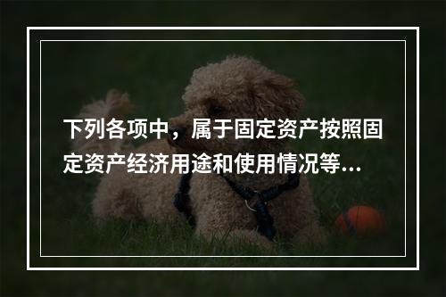 下列各项中，属于固定资产按照固定资产经济用途和使用情况等综合