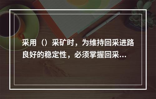 采用（）采矿时，为维持回采进路良好的稳定性，必须掌握回采进路