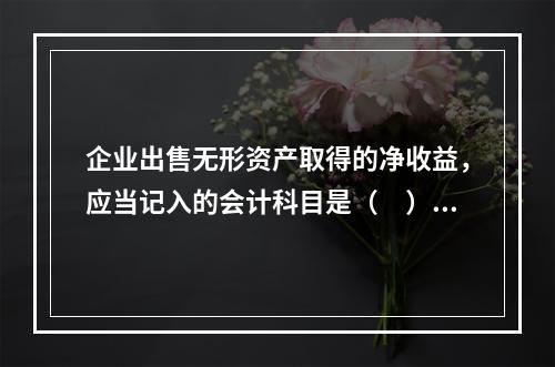 企业出售无形资产取得的净收益，应当记入的会计科目是（　）。