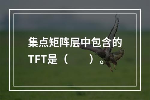 集点矩阵层中包含的TFT是（　　）。