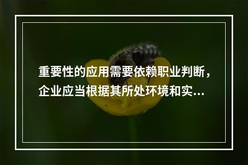 重要性的应用需要依赖职业判断，企业应当根据其所处环境和实际情