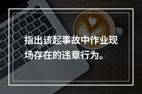 指出该起事故中作业现场存在的违章行为。