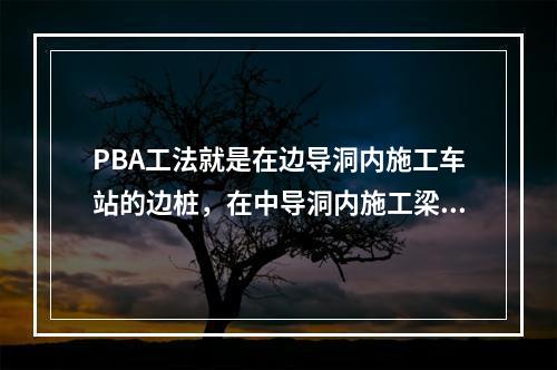 PBA工法就是在边导洞内施工车站的边桩，在中导洞内施工梁柱，