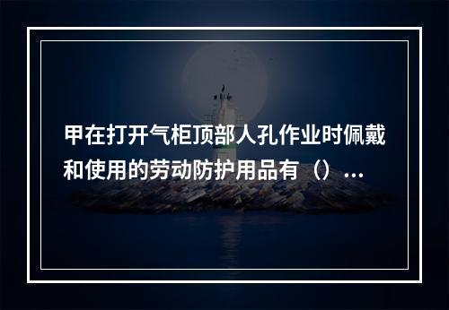 甲在打开气柜顶部人孔作业时佩戴和使用的劳动防护用品有（）。