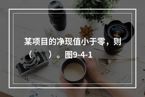 某项目的净现值小于零，则（　　）。图9-4-1