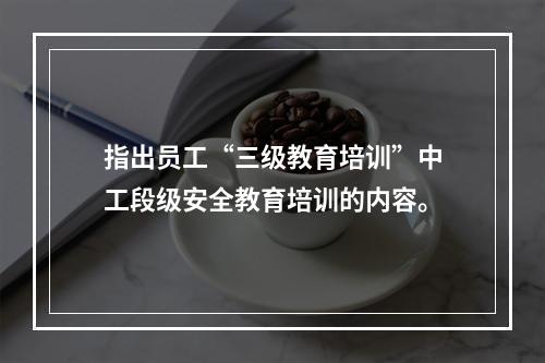 指出员工“三级教育培训”中工段级安全教育培训的内容。