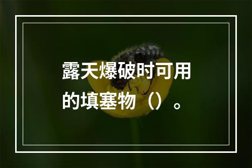 露天爆破时可用的填塞物（）。