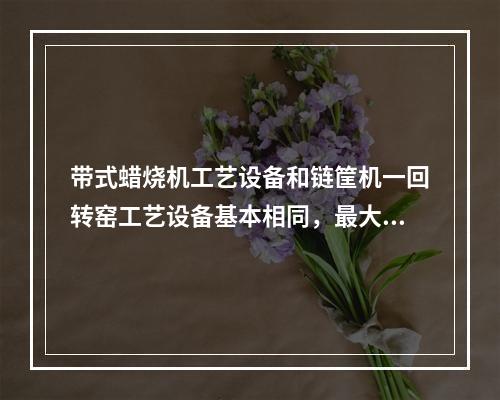 带式蜡烧机工艺设备和链筐机一回转窑工艺设备基本相同，最大的区