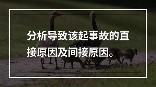 分析导致该起事故的直接原因及间接原因。