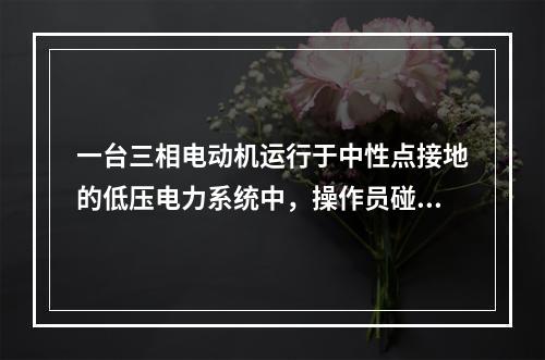 一台三相电动机运行于中性点接地的低压电力系统中，操作员碰及外