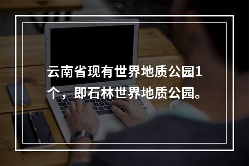 云南省现有世界地质公园1个，即石林世界地质公园。