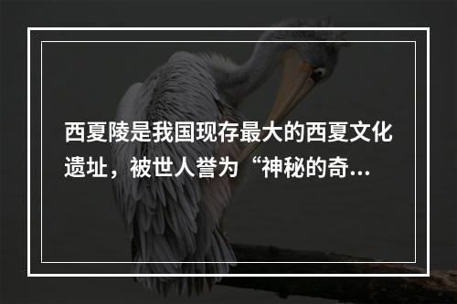 西夏陵是我国现存最大的西夏文化遗址，被世人誉为“神秘的奇迹”