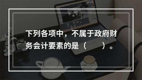 下列各项中，不属于政府财务会计要素的是（　　）。