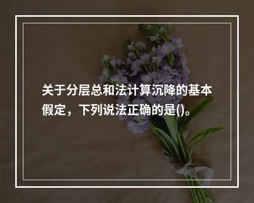 关于分层总和法计算沉降的基本假定，下列说法正确的是()。