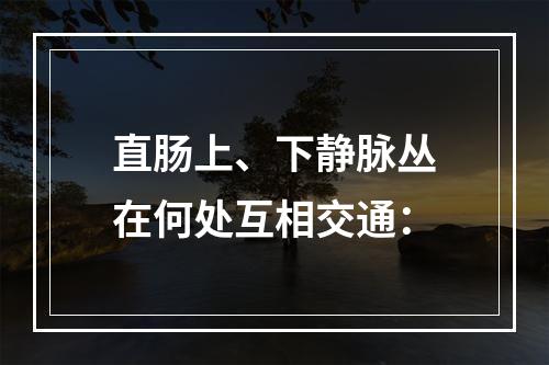 直肠上、下静脉丛在何处互相交通：