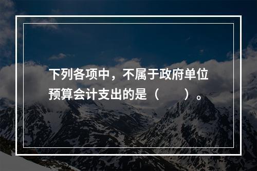 下列各项中，不属于政府单位预算会计支出的是（　　）。