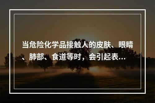 当危险化学品接触人的皮肤、眼睛、肺部、食道等时，会引起表皮组