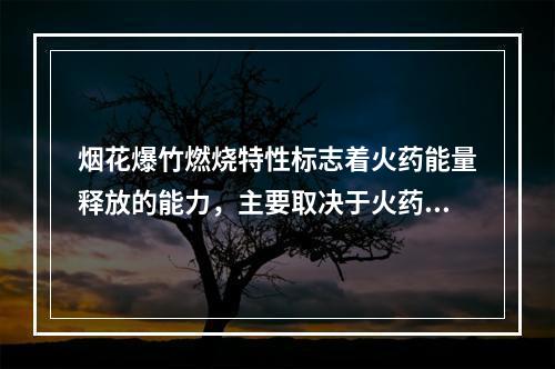 烟花爆竹燃烧特性标志着火药能量释放的能力，主要取决于火药的（