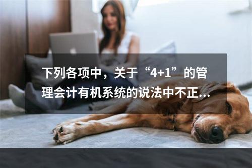 下列各项中，关于“4+1”的管理会计有机系统的说法中不正确的