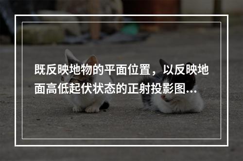 既反映地物的平面位置，以反映地面高低起伏状态的正射投影图称为