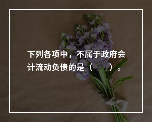 下列各项中，不属于政府会计流动负债的是（　　）。