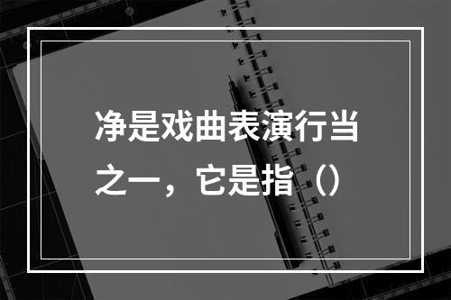 净是戏曲表演行当之一，它是指（）