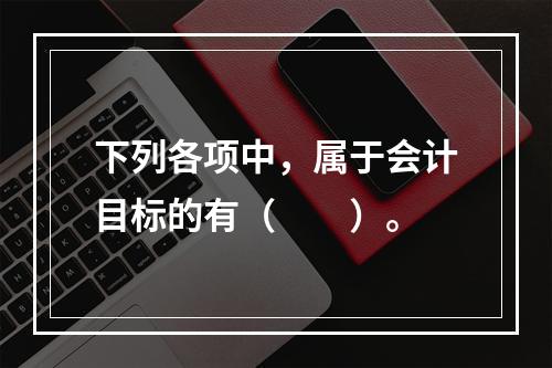 下列各项中，属于会计目标的有（　　）。