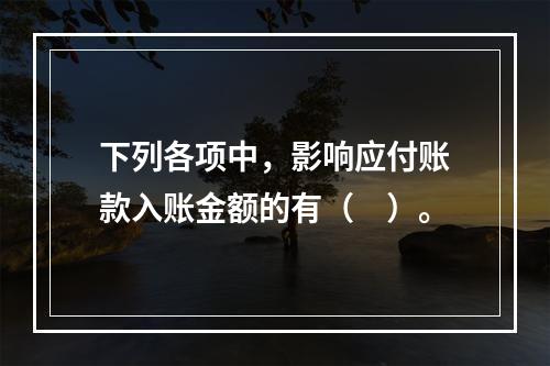 下列各项中，影响应付账款入账金额的有（　）。