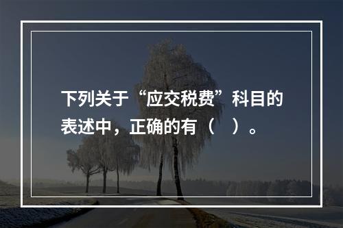 下列关于“应交税费”科目的表述中，正确的有（　）。